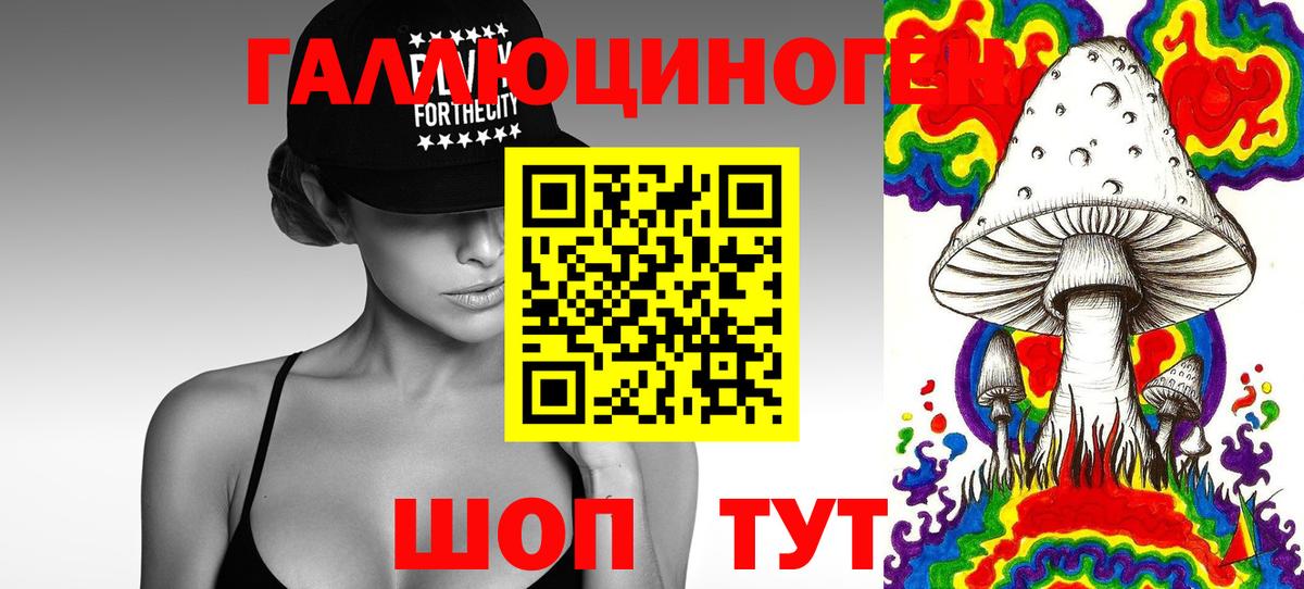 Спасск-Дальний  Галлюциногенные грибы Psilocybine cubensis  Вход с VPN 