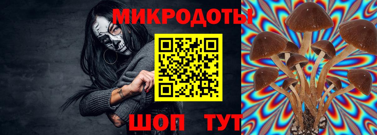 Галлюциногенные грибы Cubensis Спасск-Дальний